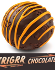 TRIGRR Chocolate Cocoa Bombs